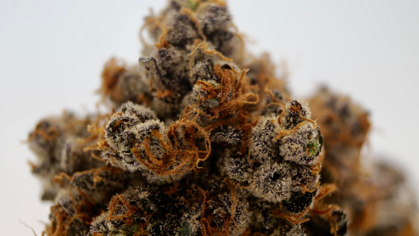 Zittlez Cake AAAA (craft cannabis)