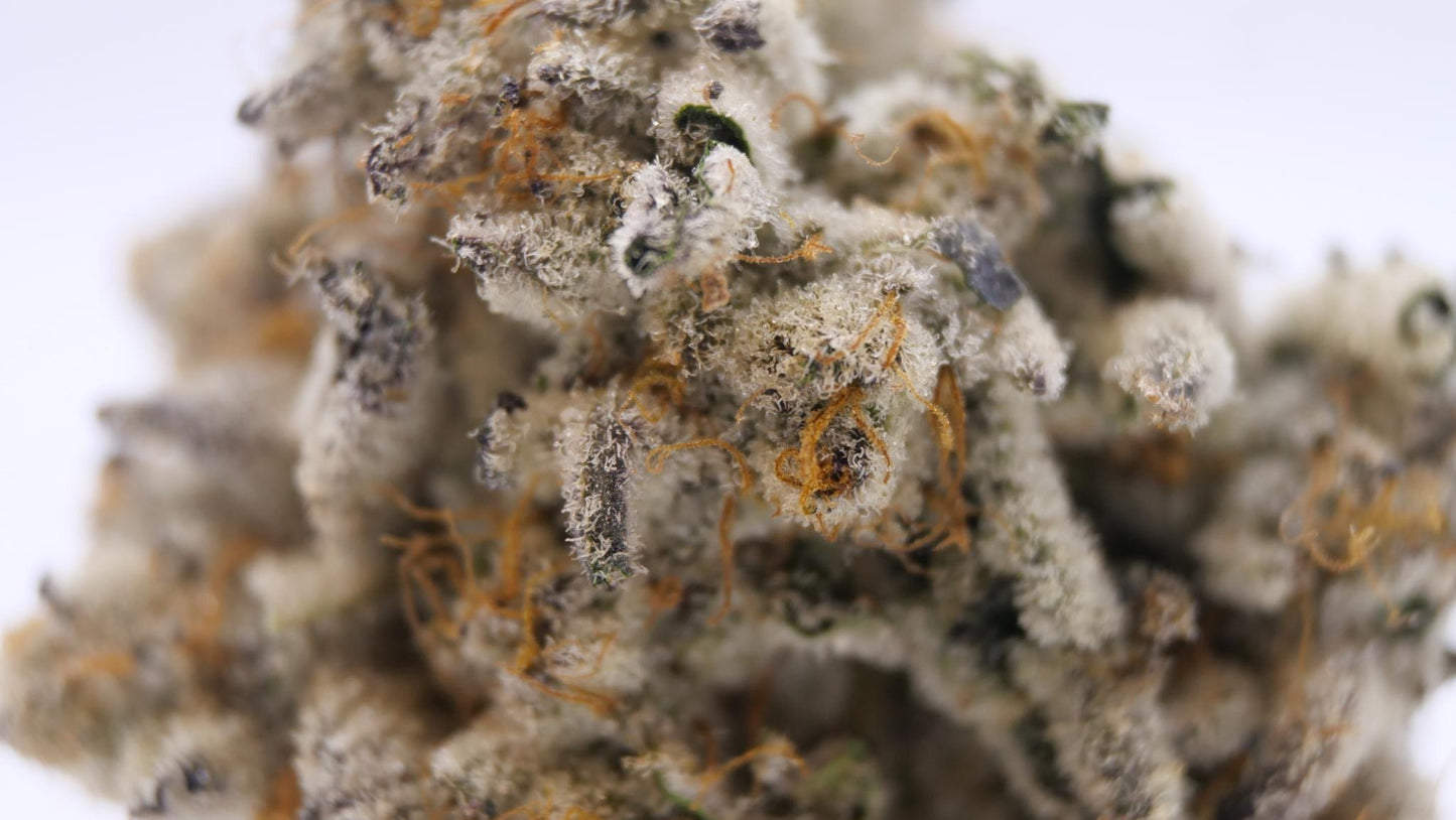 BLACK CHERRY GARLIC AAAA (craft cannabis)