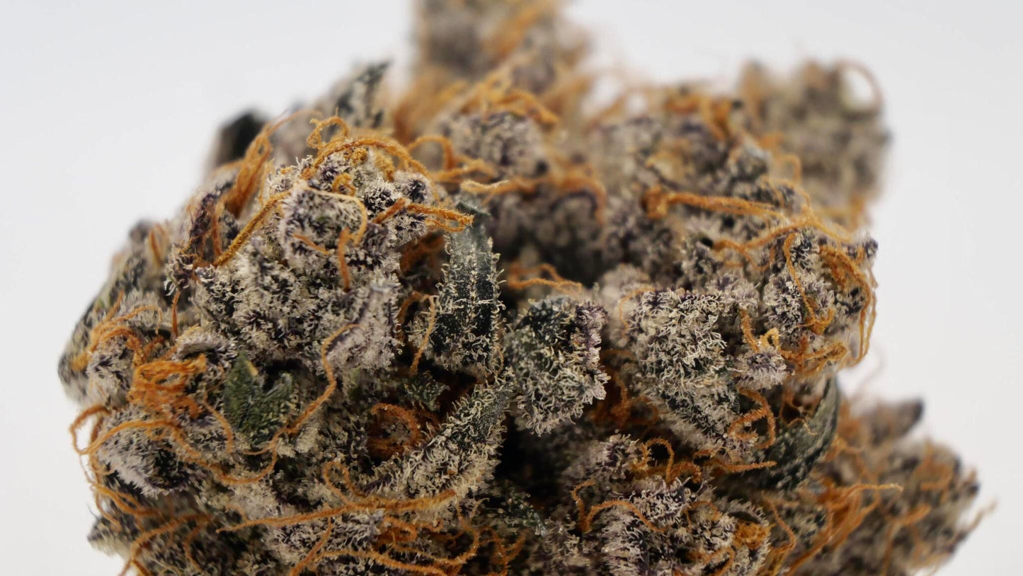 Zittlez Cake AAAA (craft cannabis)