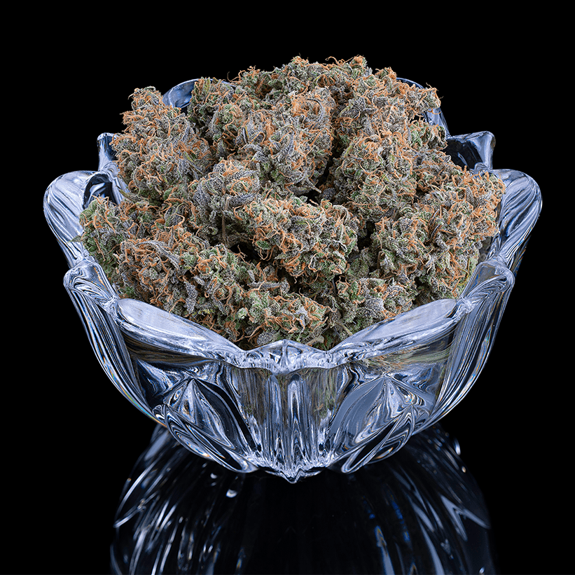 Apollo – Feminized Seeds 3 pack