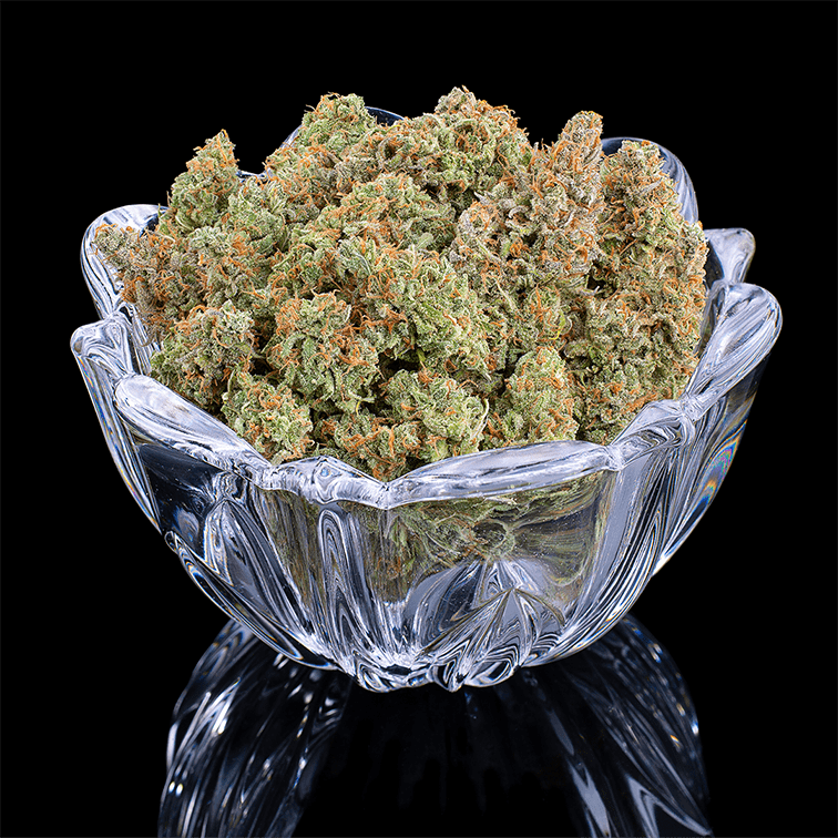 Thai Herer 99 – Feminized Seeds 3 pack