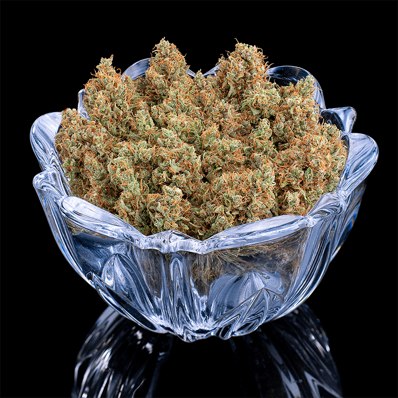 Durban Thai x C99 – Feminized Seeds 3 pack