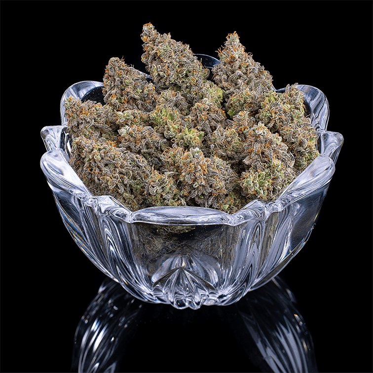Princess Haze – Feminized Seeds 3 pack