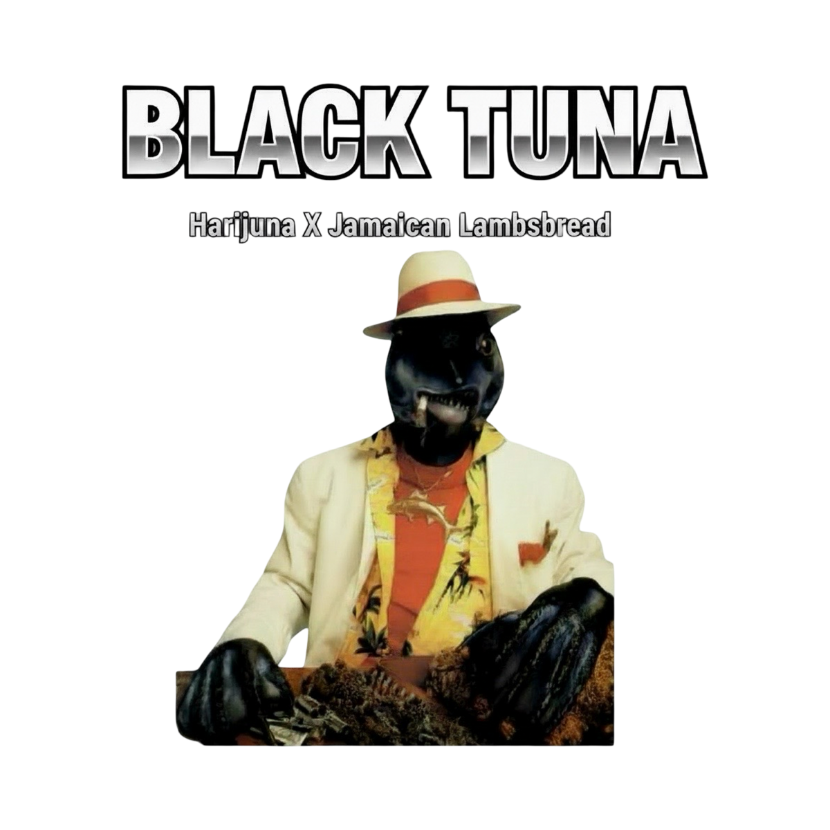 BLACK TUNA OCTOBER DROPπ₯π₯π₯π₯
