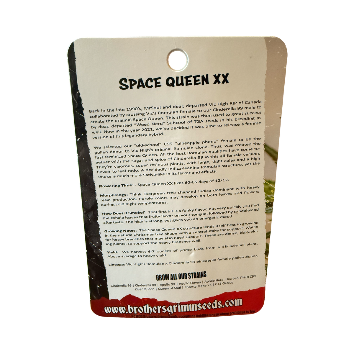 Space queen XX reg 14 seed (vault pack) old school original