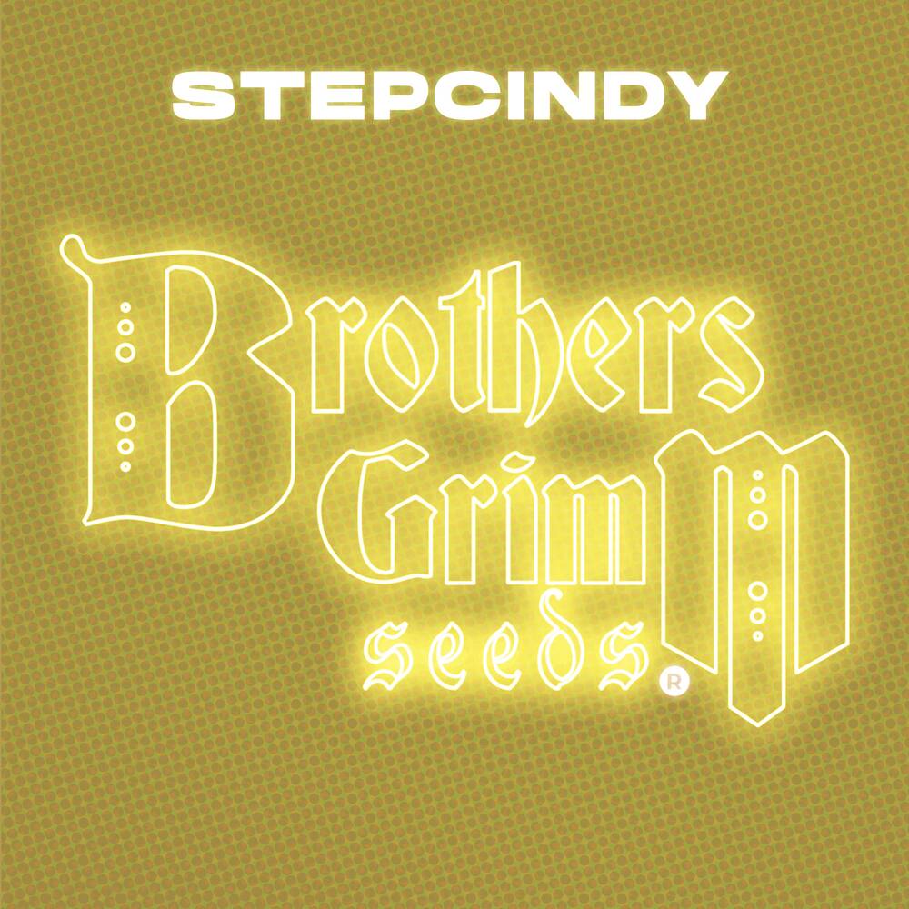StepCindy Feminized Seeds (9 Seed Pack)