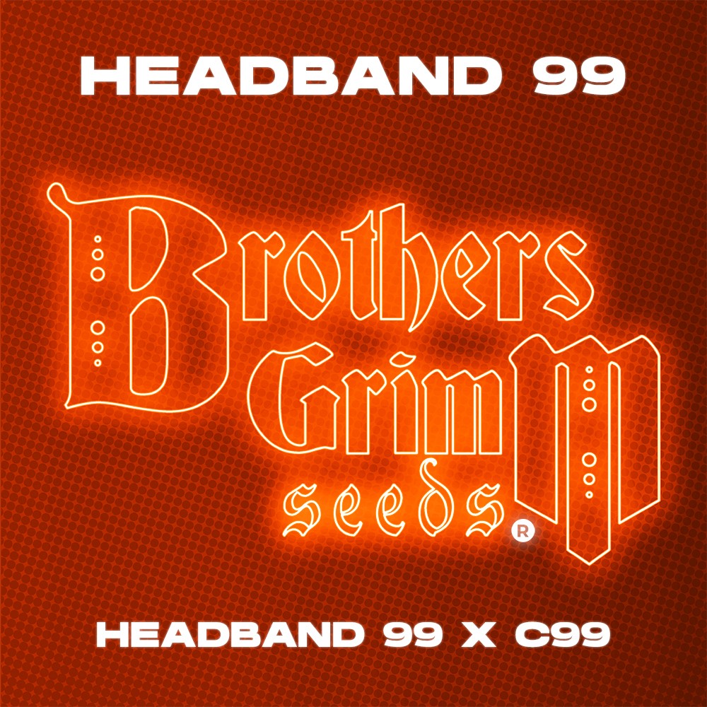 Headband 99 Feminized Seeds 9 pack