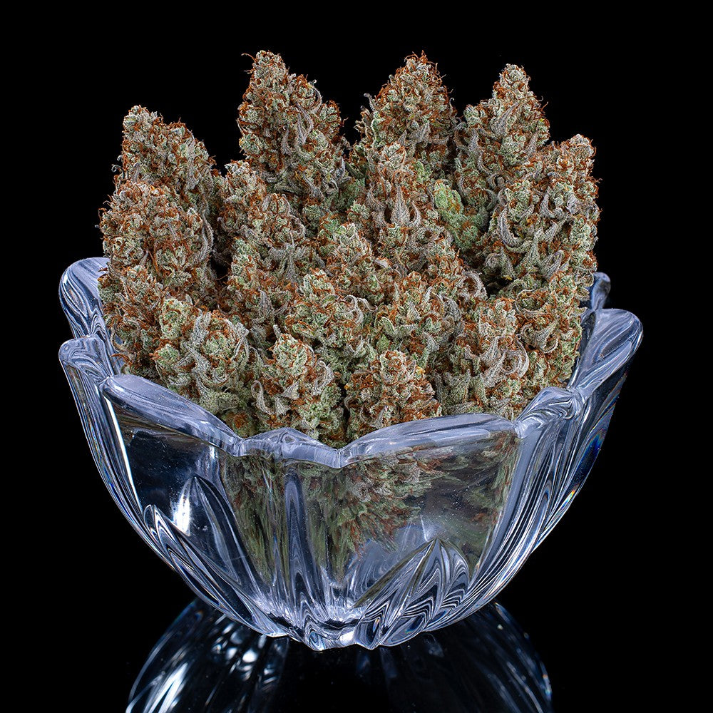 Headband 99 Feminized Seeds 9 pack
