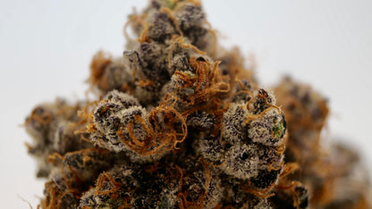 Zittlez Cake AAAA (craft cannabis)