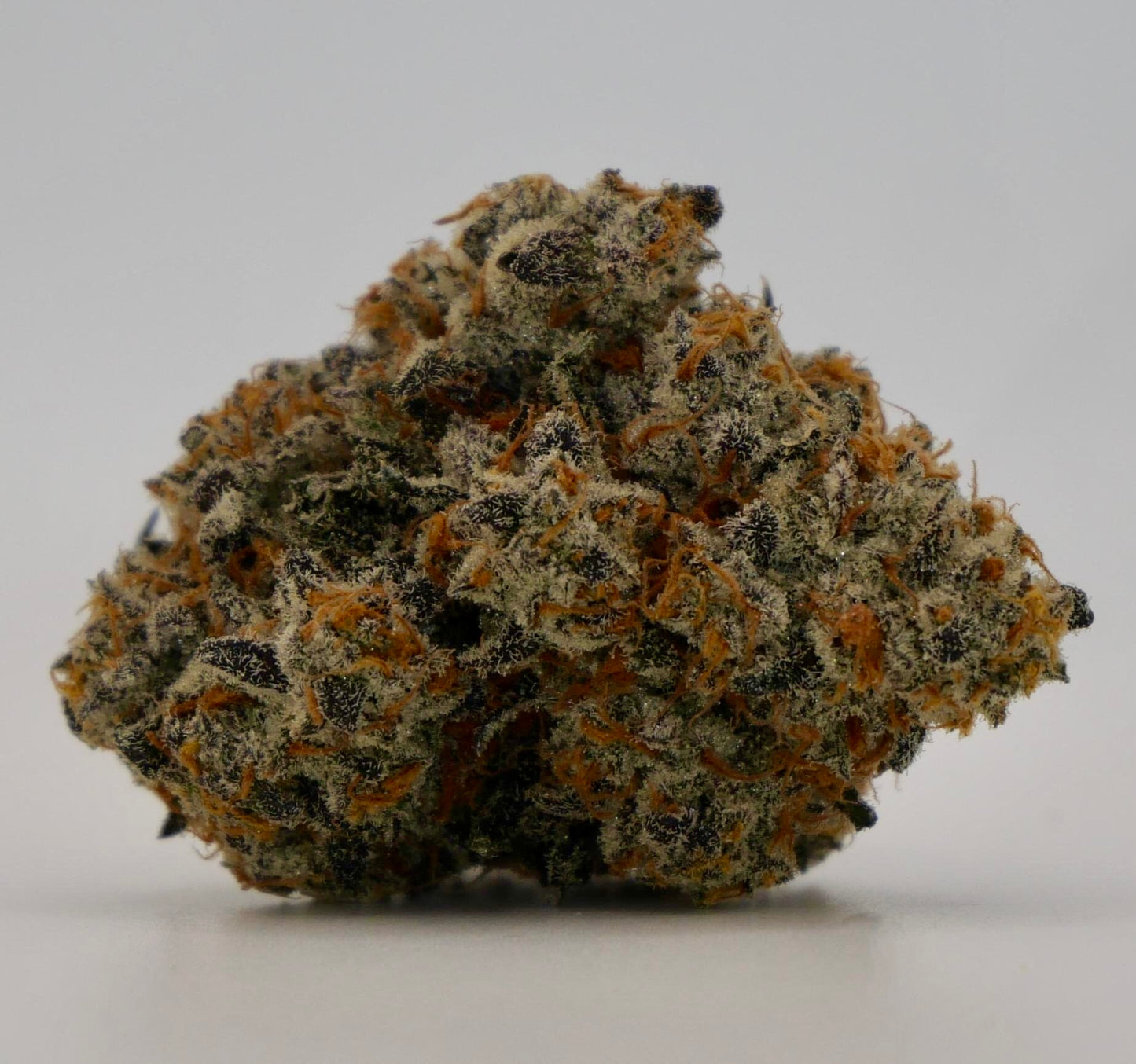 DETROIT GOLD (craft cannabis) - Cannabud Canada