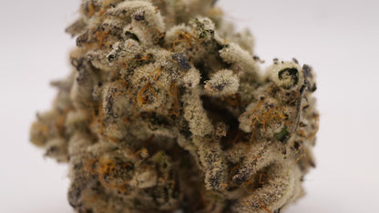 BLACK CHERRY GARLIC AAAA (craft cannabis)