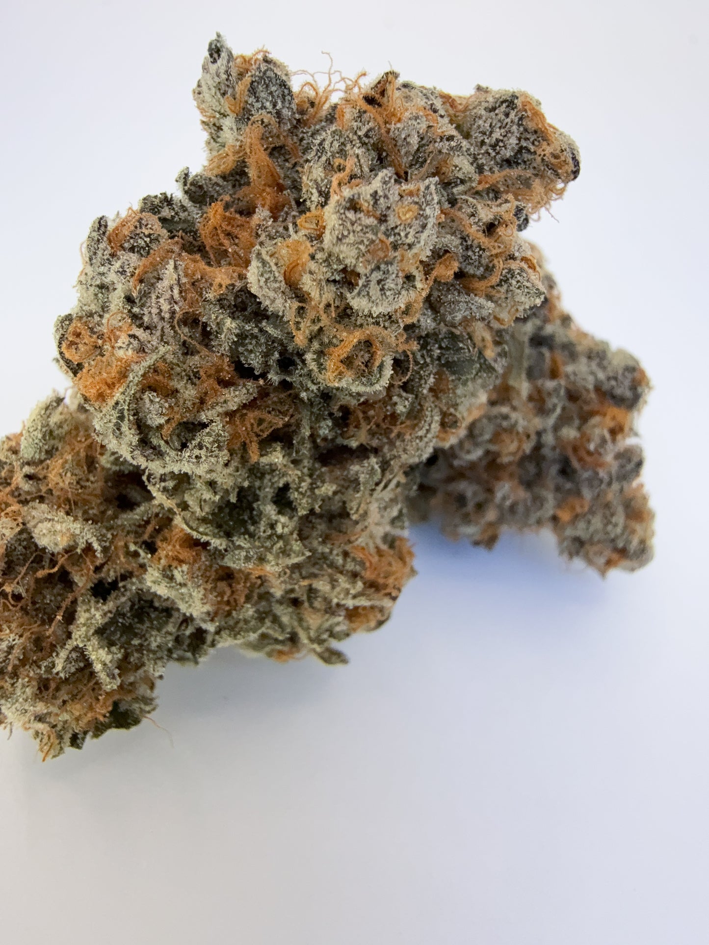 SLURRICANE