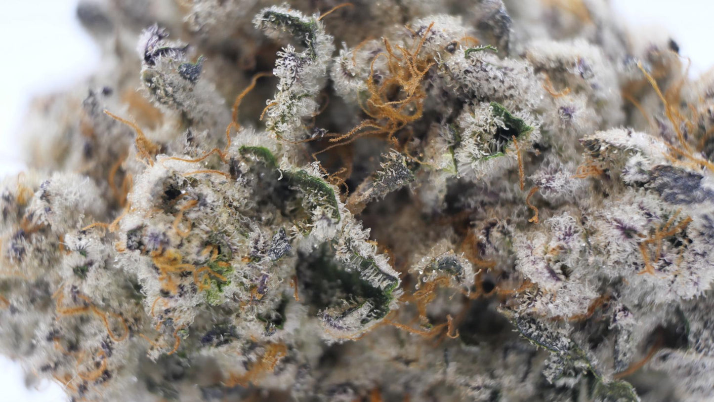 BLACK CHERRY GARLIC AAAA (craft cannabis)