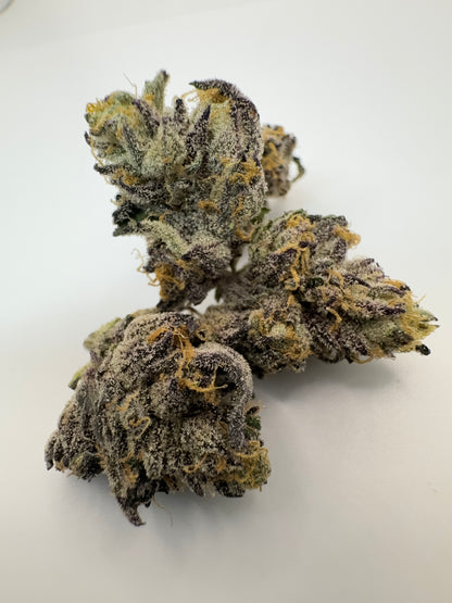 JET FUEL GELATO (SMALLS) - HYBRID