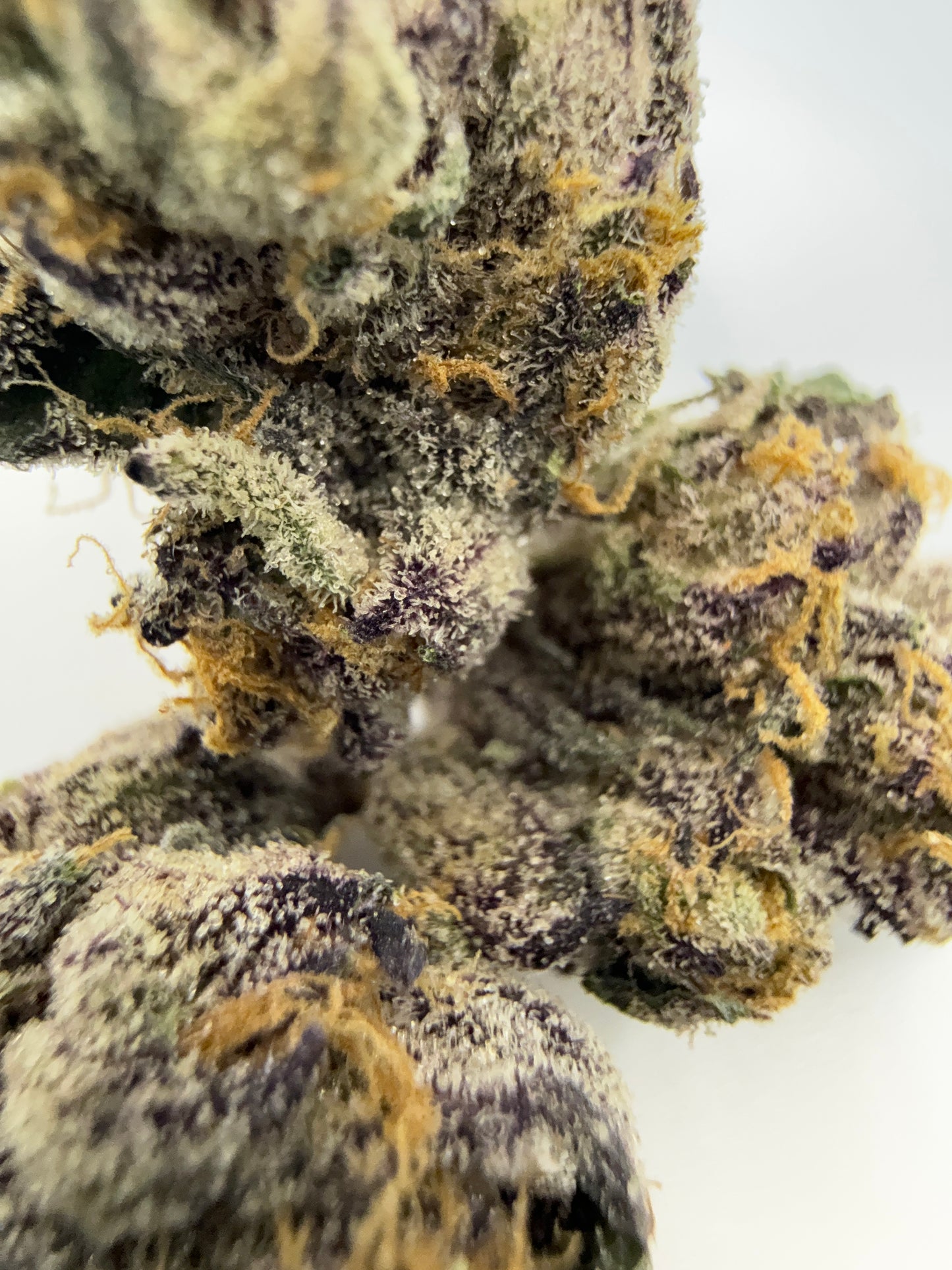 JET FUEL GELATO (SMALLS) - HYBRID