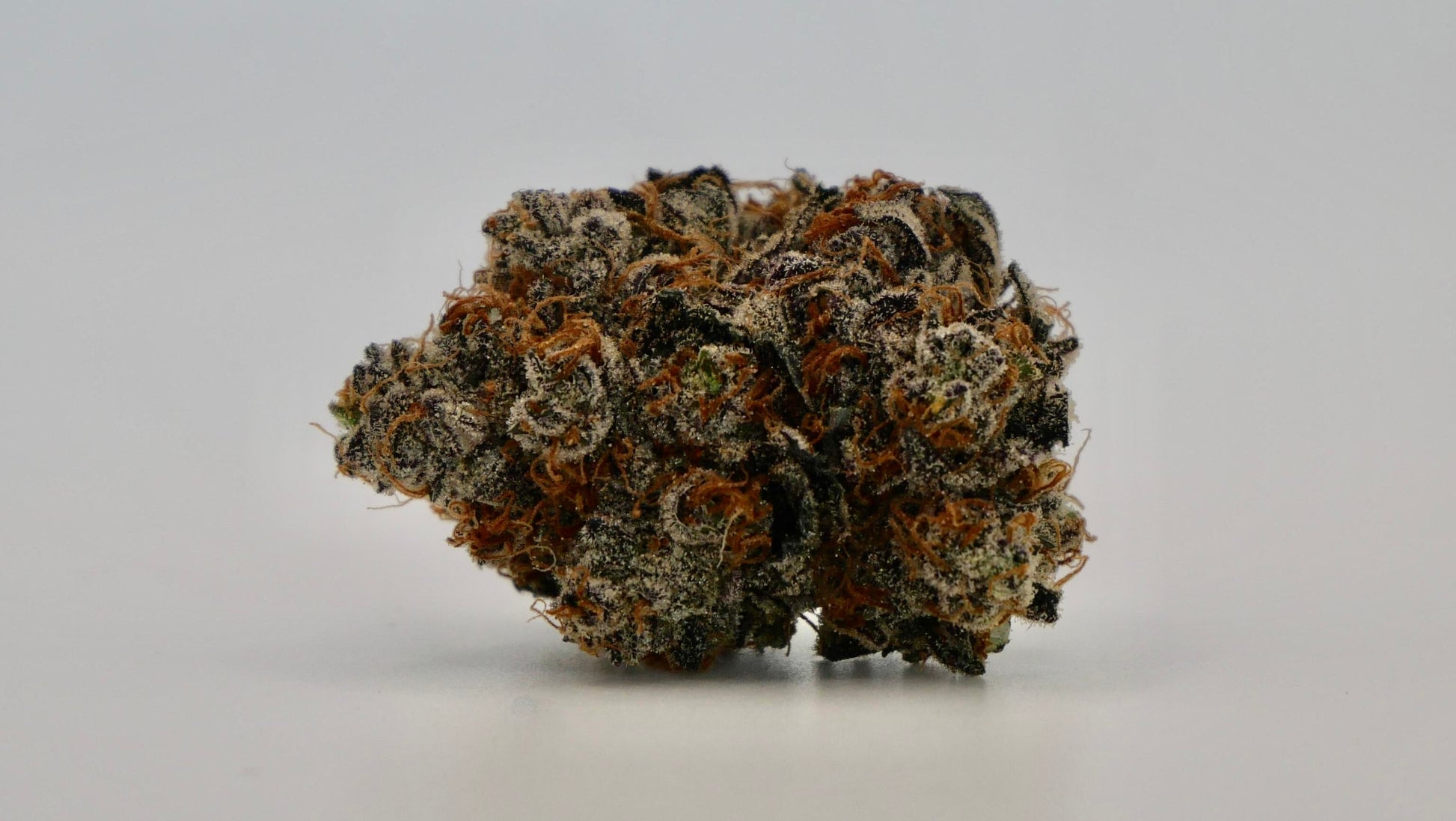 Zittlez Cake AAAA (craft cannabis)