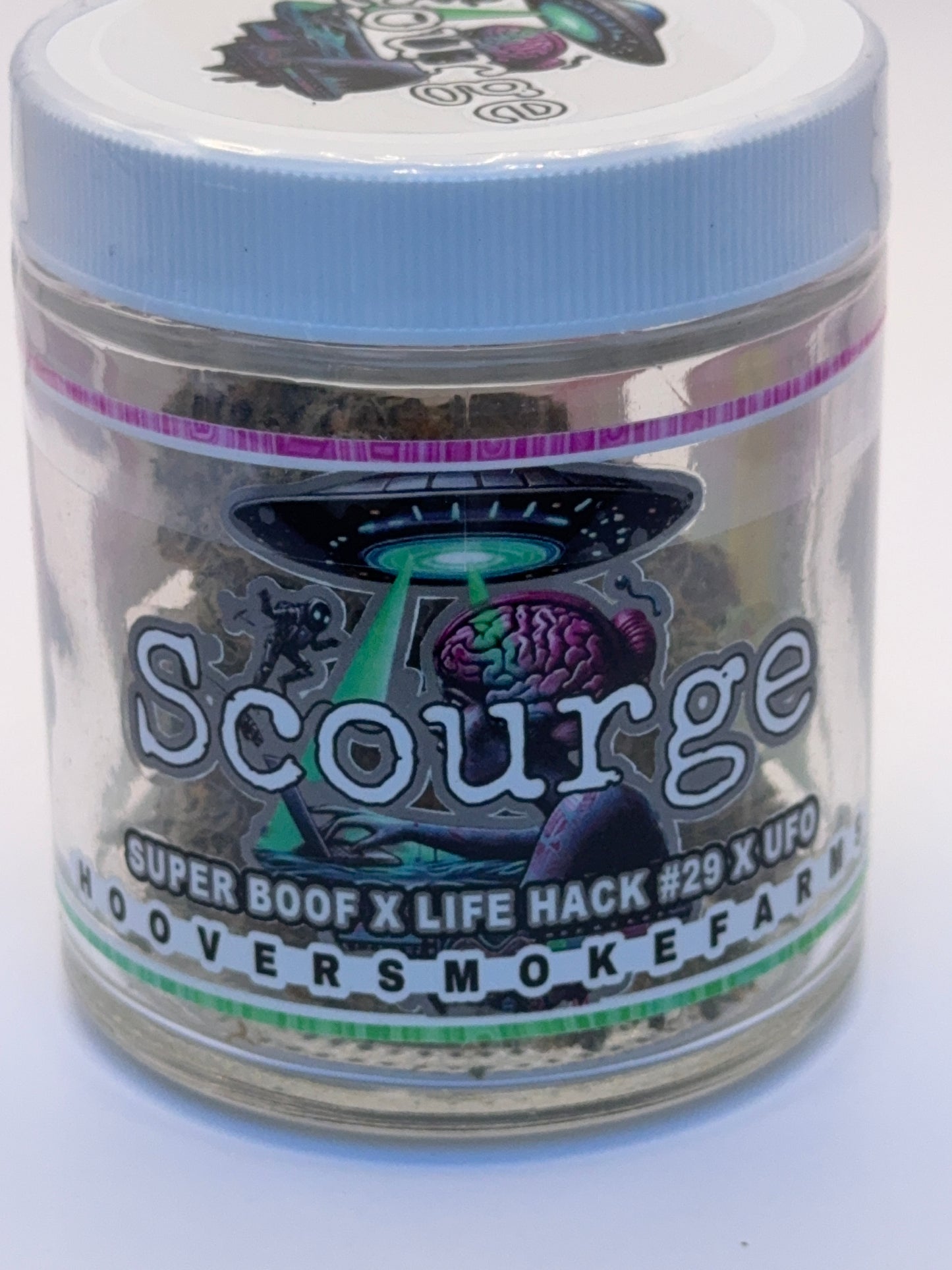 SCOURGE