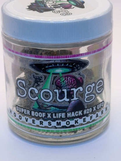 SCOURGE