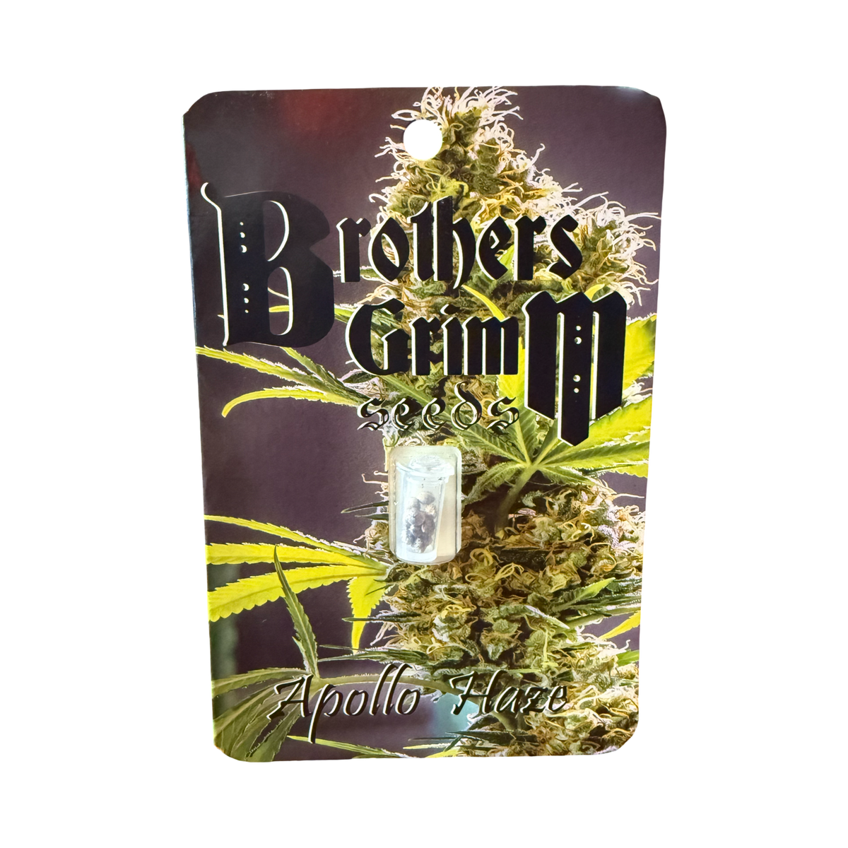Apollo Haze 14 seed (vault pack) old school original