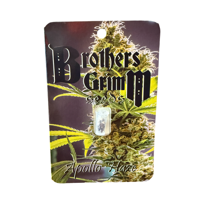 Apollo Haze 14 seed (vault pack) old school original