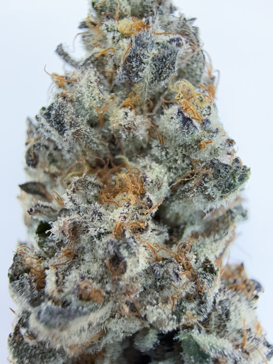 BLACK CHERRY GARLIC