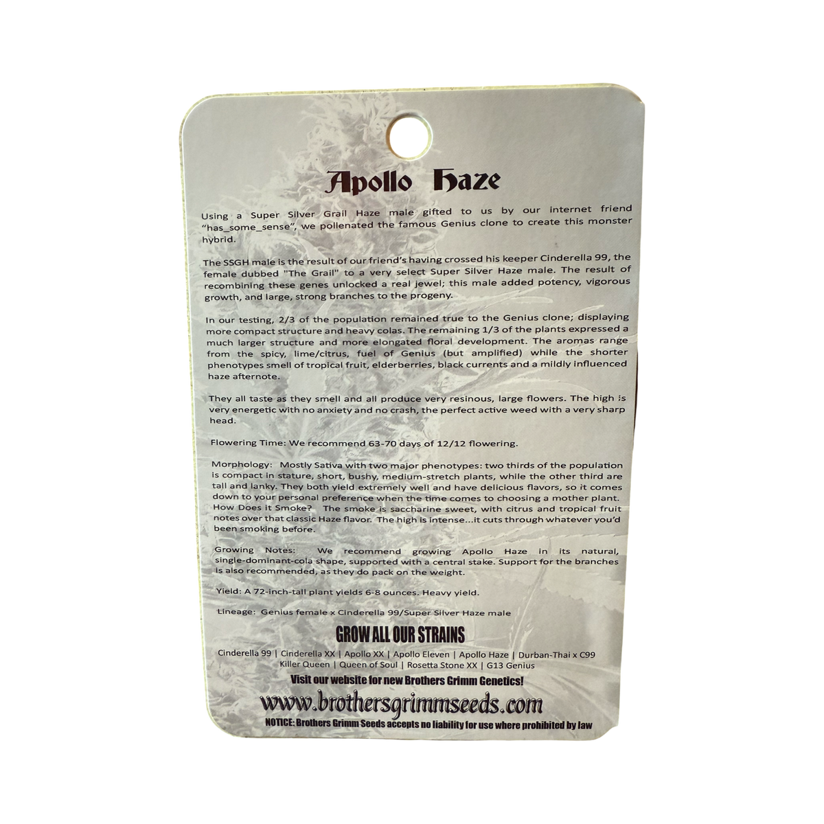 Apollo Haze 14 seed (vault pack) old school original