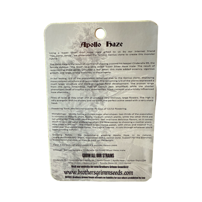 Apollo Haze 14 seed (vault pack) old school original