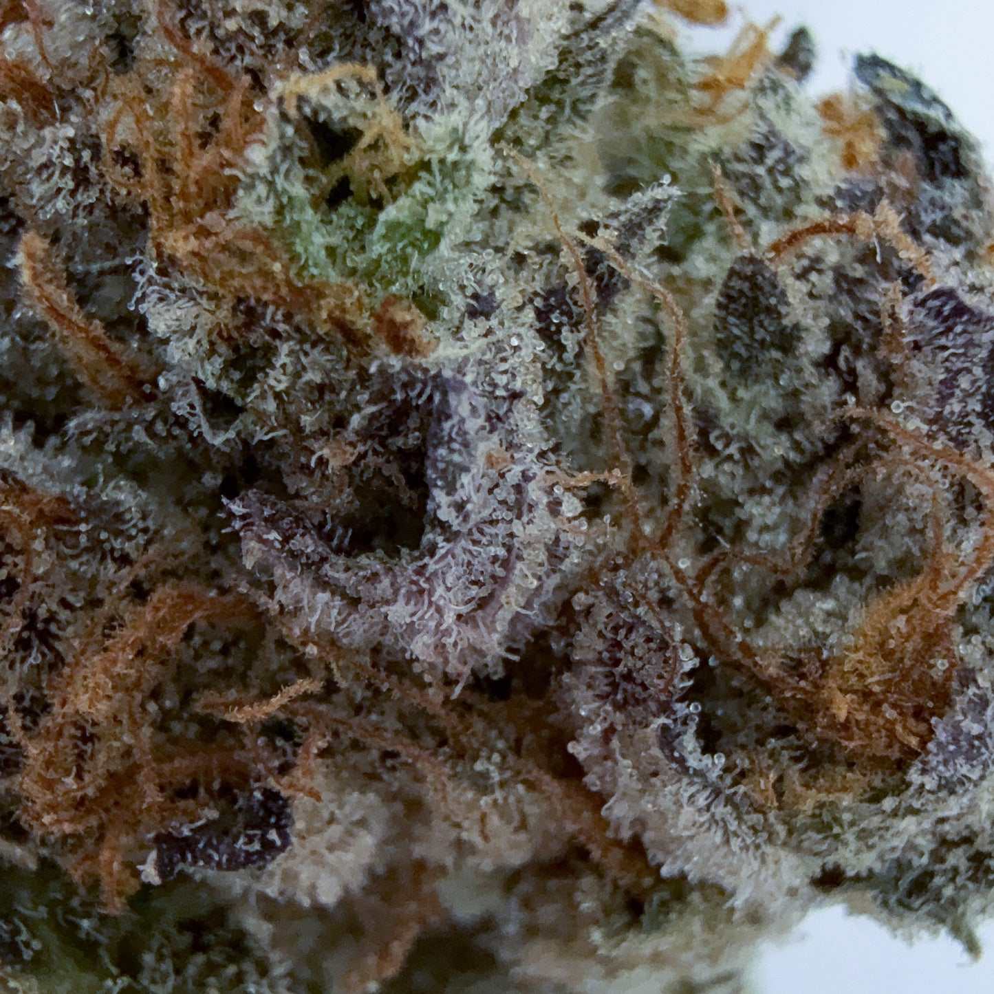 ZKITTLEZ CAKE