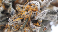 Load image into Gallery viewer, CHEMO BREATH (craft cannabis)
