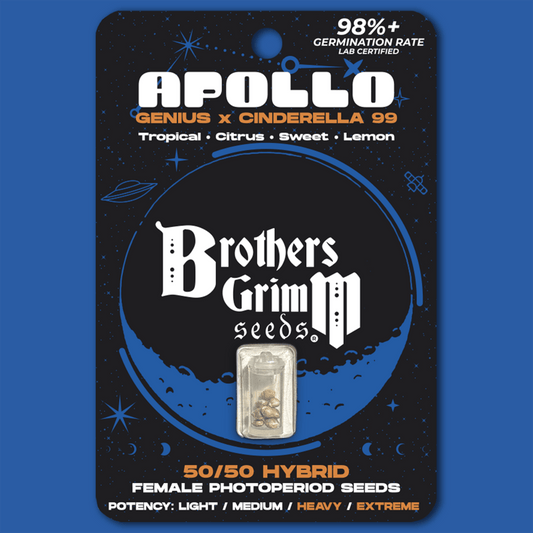 Apollo – Feminized Seeds 3 pack