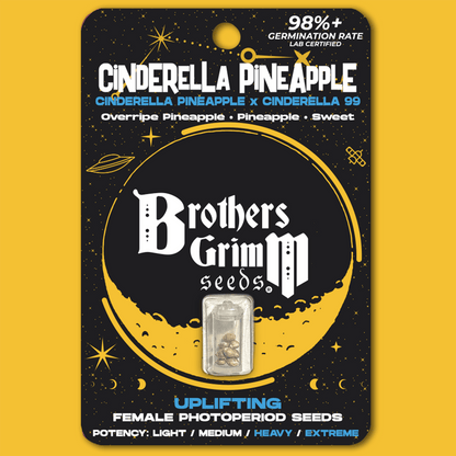 Cinderella Pineapple – Feminized Seeds 3 pack