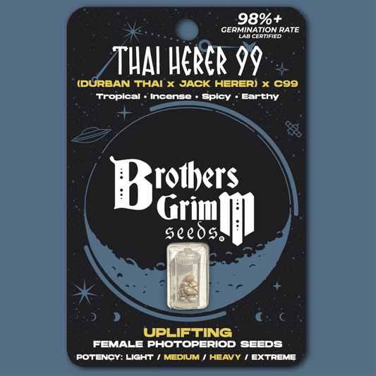 Thai Herer 99 – Feminized Seeds 3 pack