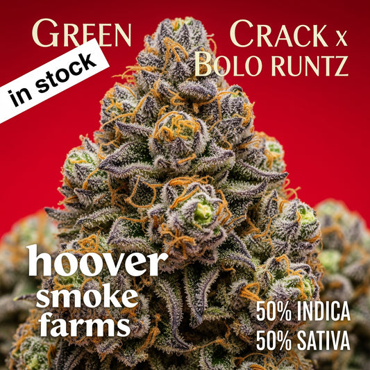 (HEADCRACKERZ) GREEN CRACK X BOLO RUNTZ