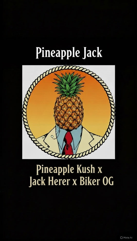 PIEAPPLE JACK LIVE RESIN 510 VAPE CARTDRIDGE 1ML