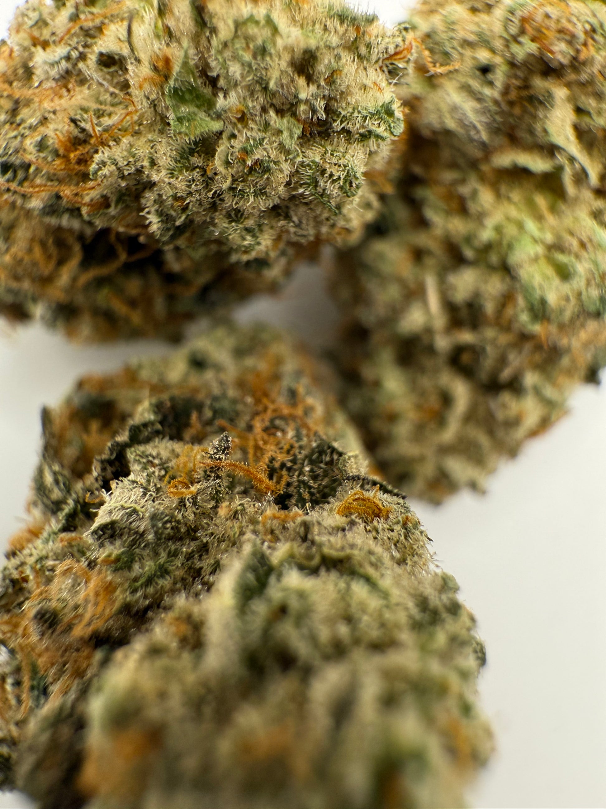 GRAND DADDY GRAPES (SMALLS)