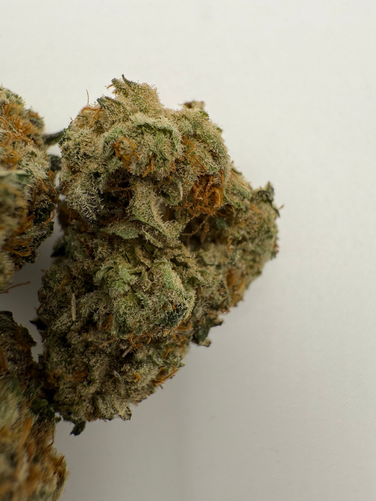 GRAND DADDY GRAPES (SMALLS)