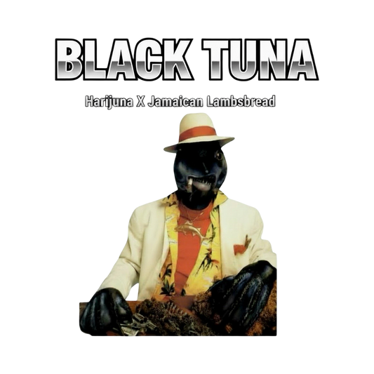 BLACK TUNA OCTOBER DROP🔥🔥🔥🔥