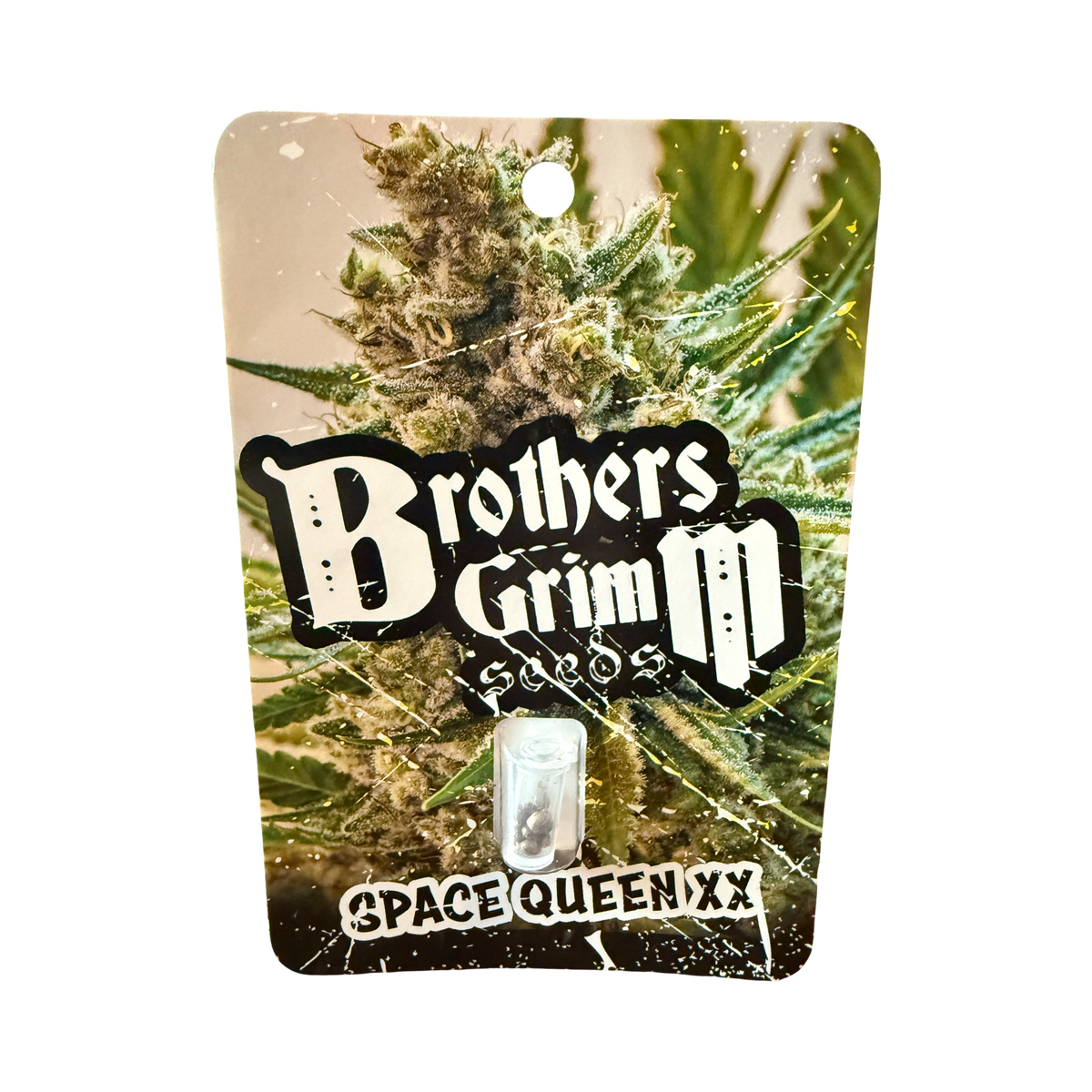 Space queen XX reg 14 seed (vault pack) old school original