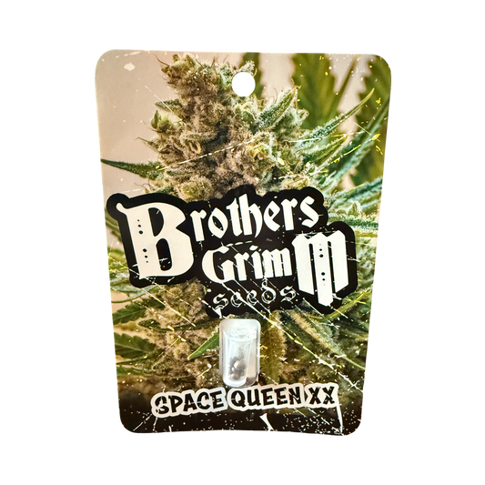 Space queen XX reg 14 seed (vault pack) old school original