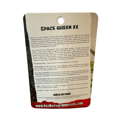 Space queen XX reg 14 seed (vault pack) old school original