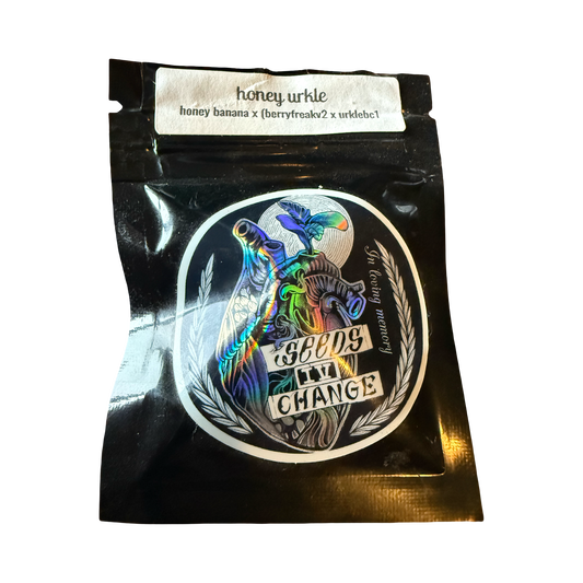 Honey Urkle 12 reg seed pack