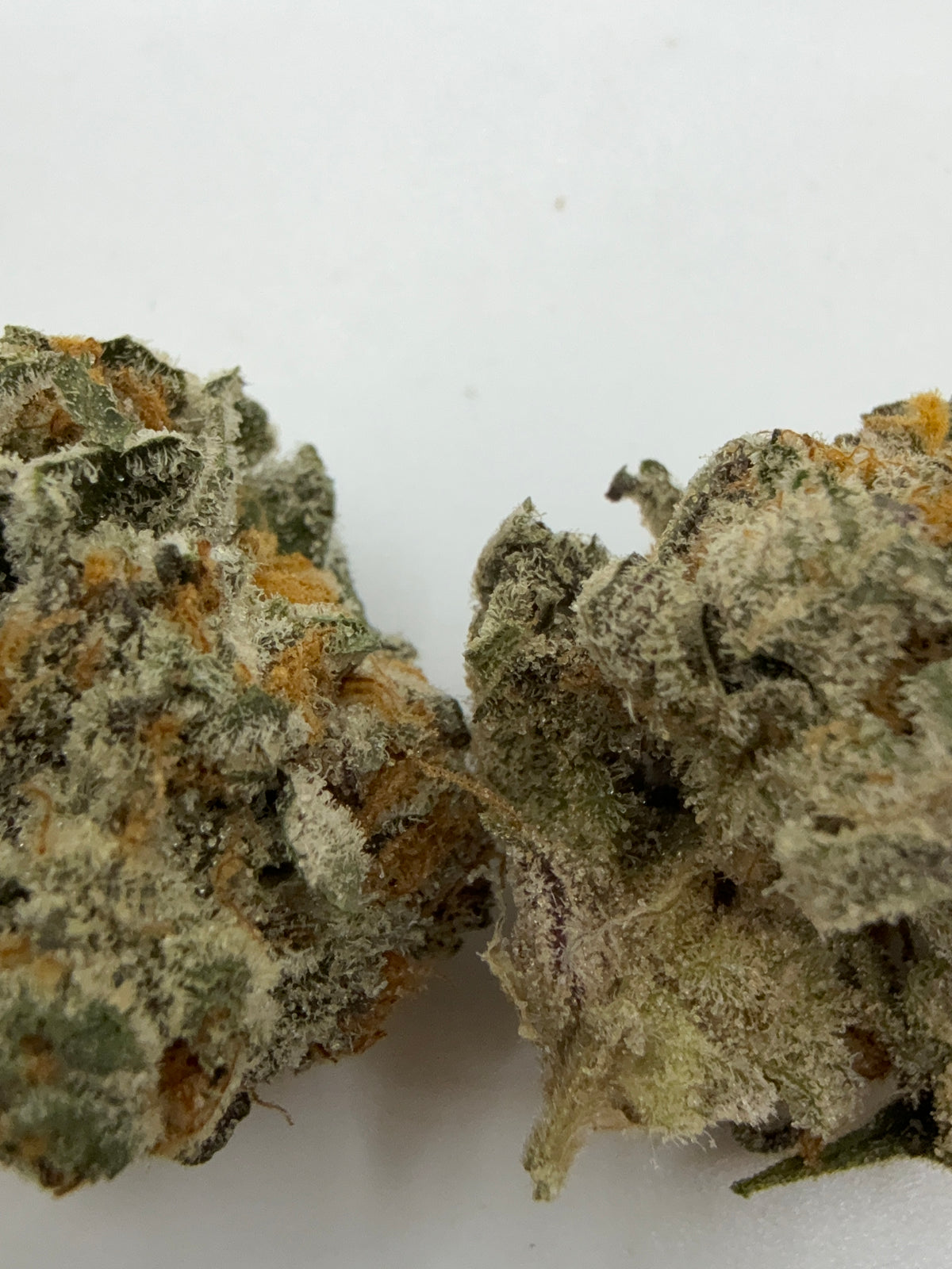 SLURRICANE (SMALLS)
