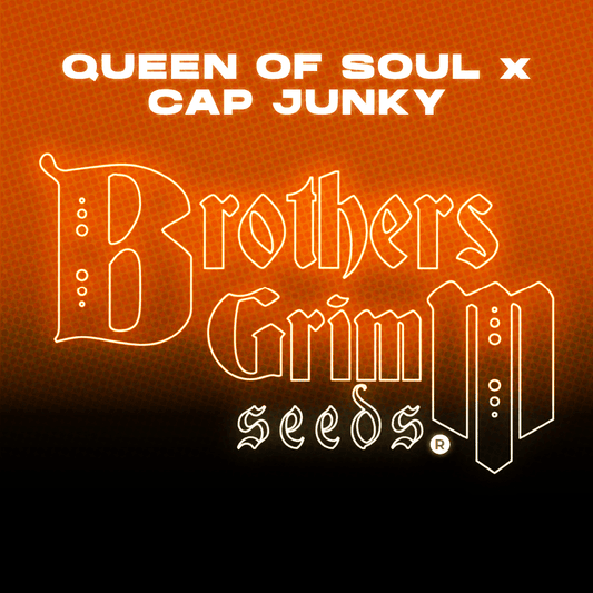 Queen of Soul x Cap Junky Feminized Seeds (9 Seed Pack)