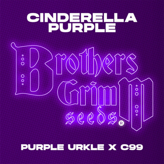 Cannabud Canada Brothers Grimm Seeds- Cinderella Purple Feminized Seeds 9 pack - HEALTH AND WELLNESS