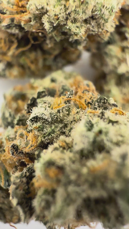 GRAND DADDY GRAPES (SMALLS)