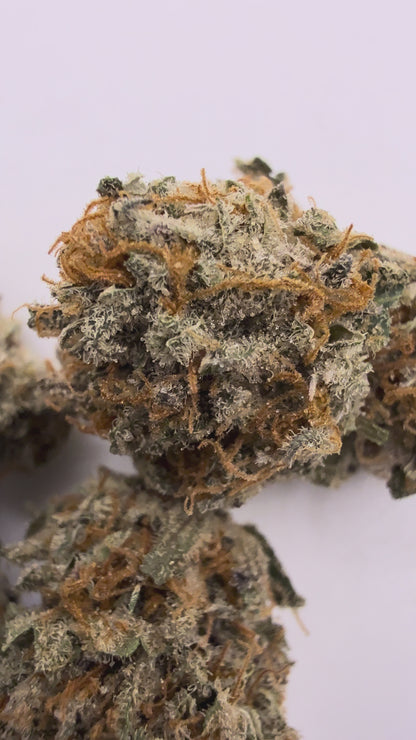 Zombie Bubba (SMALLS)