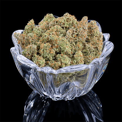 Thai Herer 99 brothers grimm seeds cannabud canada for sale